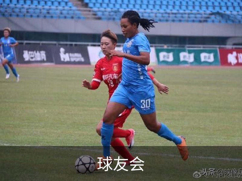 球友会简介